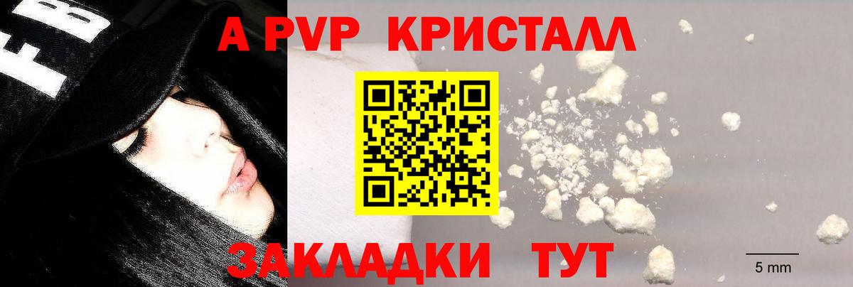 Псилоцибиновые грибы Можга