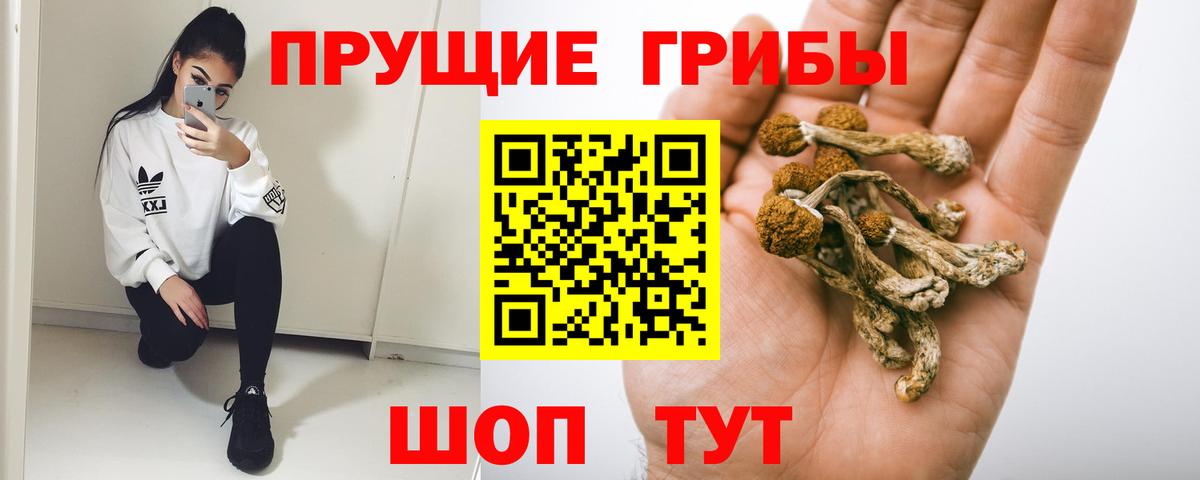 Псилоцибиновые грибы Magic Shrooms Можга